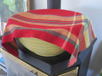 Deb's towel covering rising bread dough