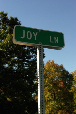 sign for Joy Lane Turning down Joy Lane